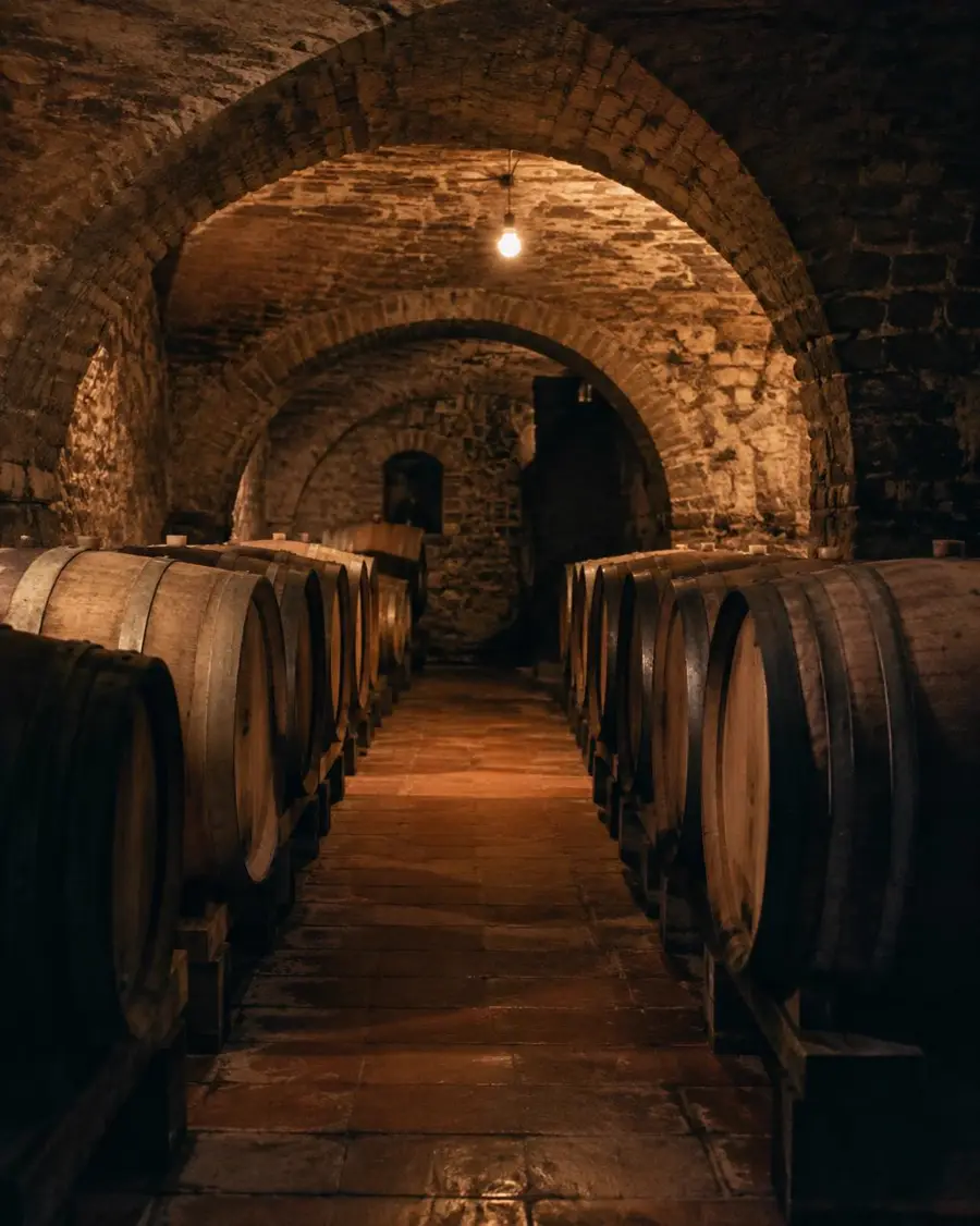 An old vaulted stone wine cellar lined with oak barrels, lit by a single warm bulb.